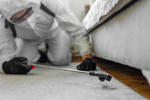 Professional Bed Bug Control technician working in Vincennes, IN