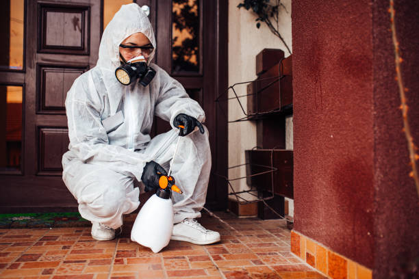 Reliable Bed Bug Control contractor in Vincennes, IN by Nex Pest Control