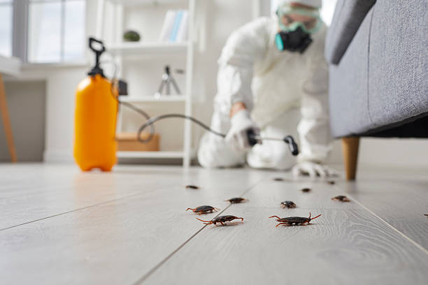 Trusted Fumigation Services service in Vincennes, IN - Nex Pest Control