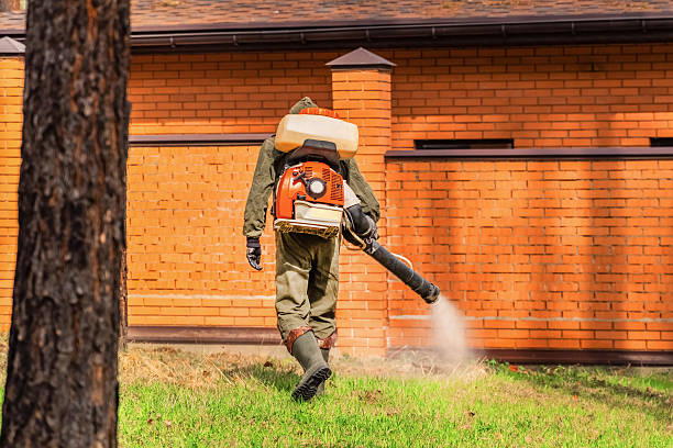 Trusted Cockroach Control service in Vincennes, IN - Nex Pest Control